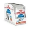 Image de Patee chat indoor sauce 12x85g ROYAL CANIN 12780102