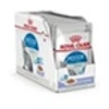 Image de Patee chat indoor jelly 12x85g ROYAL CANIN 12880102