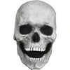Image de Tête Complète Crâne Masque Halloween