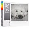 Image de FILM NOIR ET BLANC 4516