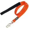 Image de Red Dingo Laisse Pour Chien Smooth
