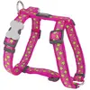 Image de Red Dingo Harnais Pour Chien Stars Lime On Hot 36-59 x 2 cm