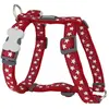 Image de Red Dingo Harnais Pour Chien Star 37-61 cm