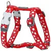Image de Red Dingo Harnais Pour Chien Style Sports Moles 37-61 cm
