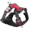 Image de Red Dingo Harnais Pour Chien Acolchado XS