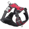 Image de Red Dingo Harnais Pour Chien Acolchado XL