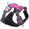 Image de Red Dingo Harnais Pour Chien Acolchado XS