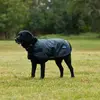 Image de Manteau pour chien imperméable Weatherbeeta Comfitec Classic - Taille 40 - Gris 40