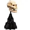 Image de Figurine de collection Weta Workshop Skull of Lurtz Noir 14 cm WETA861304356