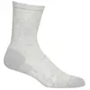 Image de Icebreaker Chaussettes Lifestyle Light Crew EU 41-43