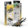 Image de Eugy - coléoptère lucanidae - eugy 3d