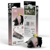 Image de Eugy - cochon - eugy 3d