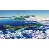 Image de Su-15 Tm Flagon-f - 1:72e -