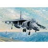 Image de Av-8b Harrier Ii - 1:32e -