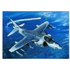 Image de Av-8b Night Attack Harrier Ii - 1:32e -