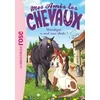 Image de Mes amis les chevaux 13 - moustique a mal aux dents !