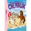 Image de Mes amis les chevaux 14 - une journée à la mer