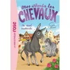Image de Mes amis les chevaux 04 - un rival inattendu