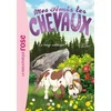 Image de Mes amis les chevaux 08 - le loup solitaire