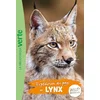 Image de Wild immersion 10 - expédition au pays des lynx