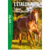 Image de L'etalon noir ned 10 - flamme cheval sauvage