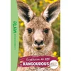 Image de Wild immersion 14 - expédition au pays des kangourous