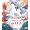 Image de Monsieur snow
