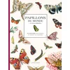 Image de Papillons du monde à colorier