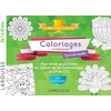 Image de 20 coloriages magiques spécial maths, 7-10 ans