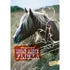 Image de Mon amie flicka