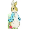 Image de Bonjour, pierre lapin !