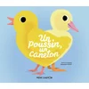 Image de Un poussin, un caneton