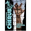 Image de Cherub - mission 3 : arizona max