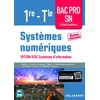 Image de Systèmes numériques 1re tle bac pro sn, option risc systèmes d'information (2017) - pochette élève