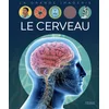 Image de Le cerveau