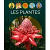 Image de Les plantes