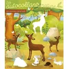 Image de Autoco nature anim foret