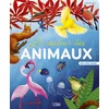 Image de La couleur des animaux