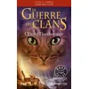 Image de La guerre des clans - cycle v : l'aube des clans - Tome 4 l'etoile flamboyante