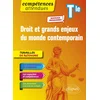 Image de Droit et grands enjeux du monde contemporain - terminale - nouveaux programmes