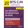 Image de Bts cjn - les éléments fondamentaux du droit (u31)