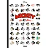 Image de Mickey all stars