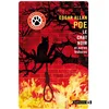 Image de Le chat noir et autres histoires