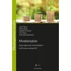 Image de Monétarisation