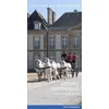 Image de Voitures hippomobiles n°5