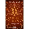 Image de Vampire academy, - Tome 4 : promesse de sang