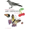 Image de Ah ! ernesto