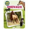 Image de Chevaux