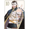 Image de The heroic legend of arslân - Tome 10