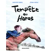 Image de Tempete au haras (bd)